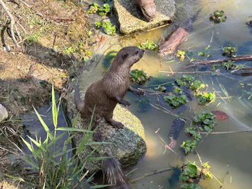 神戸どうぶつ王国に投稿された画像（2023/4/17）