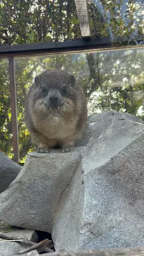 神戸どうぶつ王国に投稿された画像（2023/4/17）