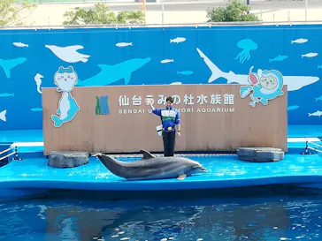 仙台うみの杜水族館に投稿された画像（2023/4/17）