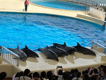 マリンワールド海の中道に投稿された画像（2023/4/17）