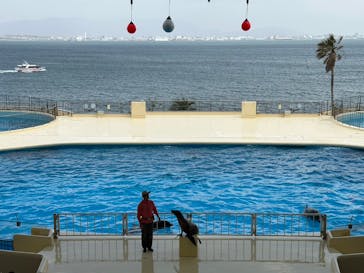 マリンワールド海の中道に投稿された画像（2023/4/17）