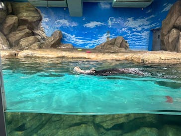 マリンワールド海の中道に投稿された画像（2023/4/17）