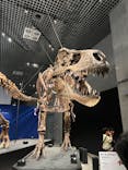 特別展「恐竜博2023」に投稿された画像（2023/4/17）