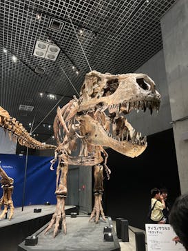 特別展「恐竜博2023」に投稿された画像（2023/4/17）