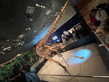 特別展「恐竜博2023」に投稿された画像（2023/4/17）