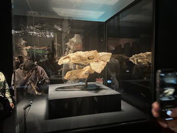 特別展「恐竜博2023」に投稿された画像（2023/4/17）