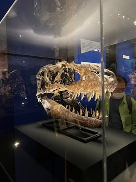 特別展「恐竜博2023」に投稿された画像（2023/4/17）