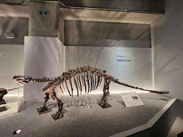 特別展「恐竜博2023」に投稿された画像（2023/4/17）