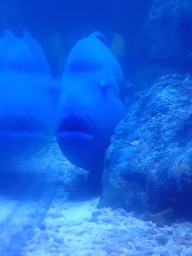 すみだ水族館に投稿された画像（2023/4/17）