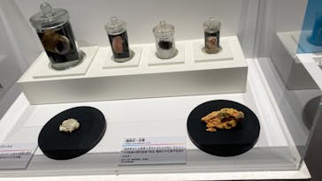 特別展「毒」に投稿された画像（2023/4/17）