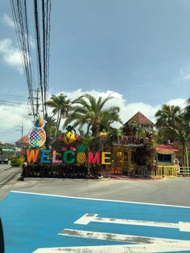 ナゴパイナップルパークに投稿された画像（2023/4/17）