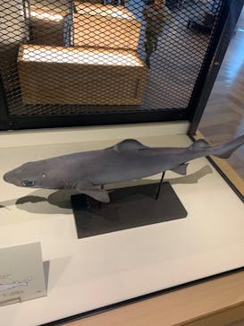 アクアワールド茨城県大洗水族館に投稿された画像（2023/4/17）