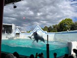 しながわ水族館に投稿された画像（2023/4/17）