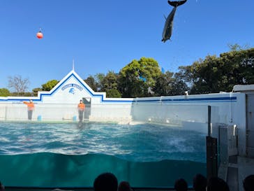 しながわ水族館に投稿された画像（2023/4/17）
