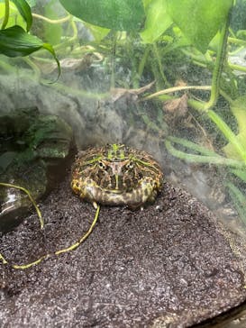 サンシャイン水族館に投稿された画像（2023/4/17）