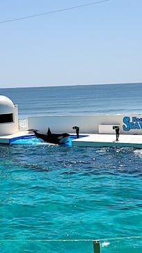 鴨川シーワールドに投稿された画像（2023/4/17）