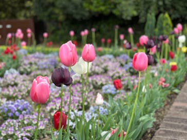 レオマリゾートに投稿された画像（2023/4/17）