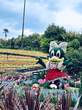 レオマリゾートに投稿された画像（2023/4/17）