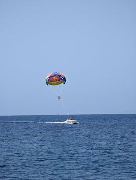 Sea World（シーワールド）に投稿された画像（2023/4/17）