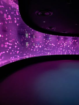 サンシャイン水族館に投稿された画像（2023/4/17）