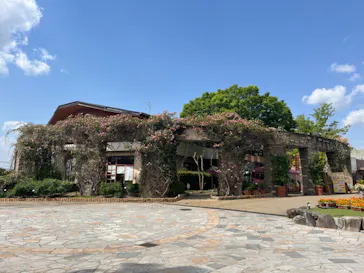 ひらかたパークに投稿された画像（2023/4/17）