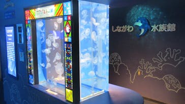 しながわ水族館に投稿された画像（2023/4/17）