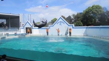 しながわ水族館に投稿された画像（2023/4/17）