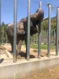 しろとり動物園に投稿された画像（2023/4/17）