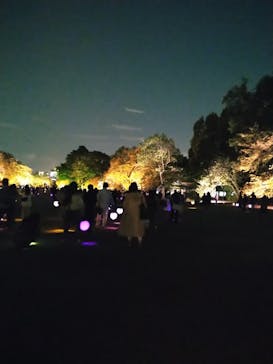 NAKED 桜の新宿御苑 2023に投稿された画像（2023/4/17）