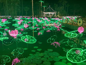 美らヤシパークオキナワ・東南植物楽園に投稿された画像（2023/4/17）