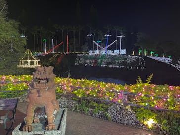 美らヤシパークオキナワ・東南植物楽園に投稿された画像（2023/4/17）