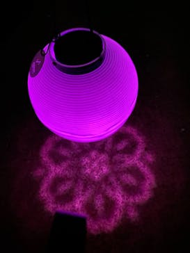 NAKED 桜の新宿御苑 2023に投稿された画像（2023/4/17）