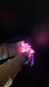 NAKED 桜の新宿御苑 2023に投稿された画像（2023/4/17）