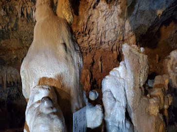 石垣島鍾乳洞に投稿された画像（2023/4/17）