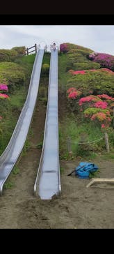 千葉こどもの国 キッズダムに投稿された画像（2023/4/17）