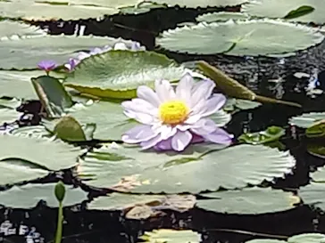 神戸どうぶつ王国に投稿された画像（2023/4/17）