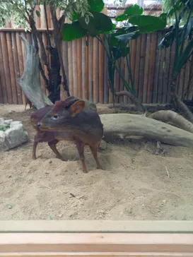 神戸どうぶつ王国に投稿された画像（2023/4/17）