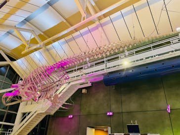 アクアワールド茨城県大洗水族館に投稿された画像（2023/4/17）