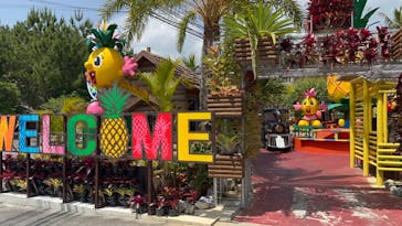 ナゴパイナップルパークに投稿された画像（2023/4/18）