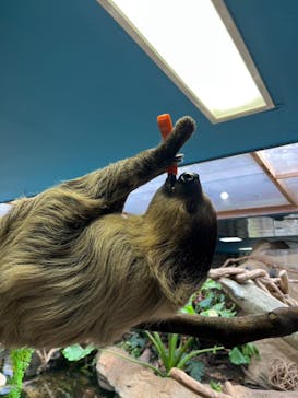 那須どうぶつ王国に投稿された画像（2023/4/18）