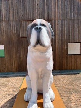 那須どうぶつ王国に投稿された画像（2023/4/18）