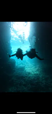 武藤潜水に投稿された画像（2023/4/18）