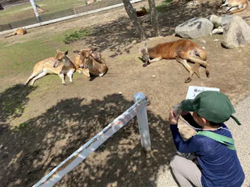神戸どうぶつ王国に投稿された画像（2023/4/18）