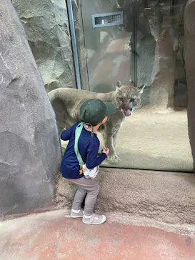 神戸どうぶつ王国に投稿された画像（2023/4/18）