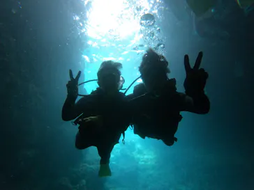 武藤潜水に投稿された画像（2023/4/18）