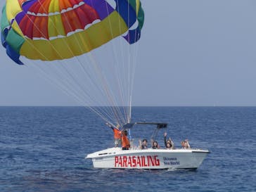 Sea World（シーワールド）に投稿された画像（2023/4/18）