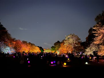 NAKED 桜の新宿御苑 2023に投稿された画像（2023/4/18）