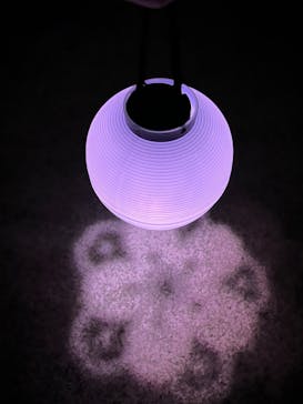 NAKED 桜の新宿御苑 2023に投稿された画像（2023/4/18）