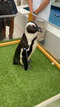 マリンワールド海の中道に投稿された画像（2023/4/18）