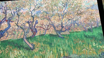 ゴッホ・アライブ神戸に投稿された画像（2023/4/18）